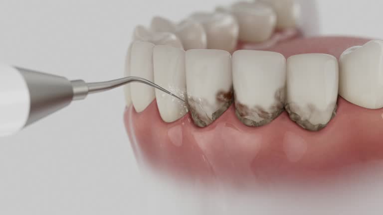 Reliable Dental contractor in Rossville, MD by Dentist Open Now